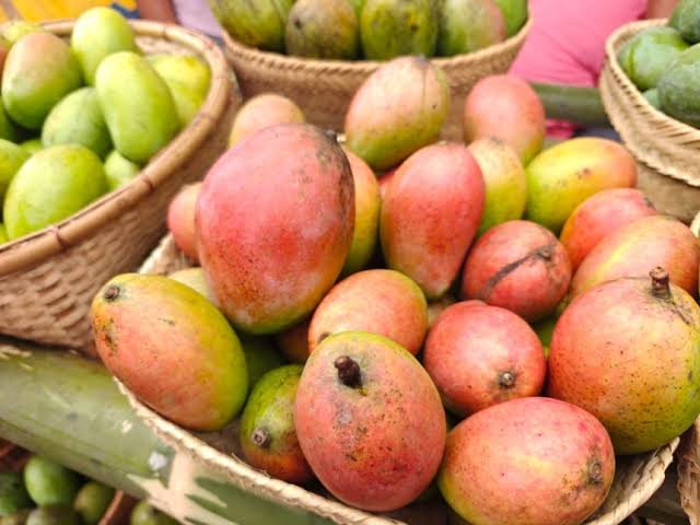 Rewa Sundarja Mango
