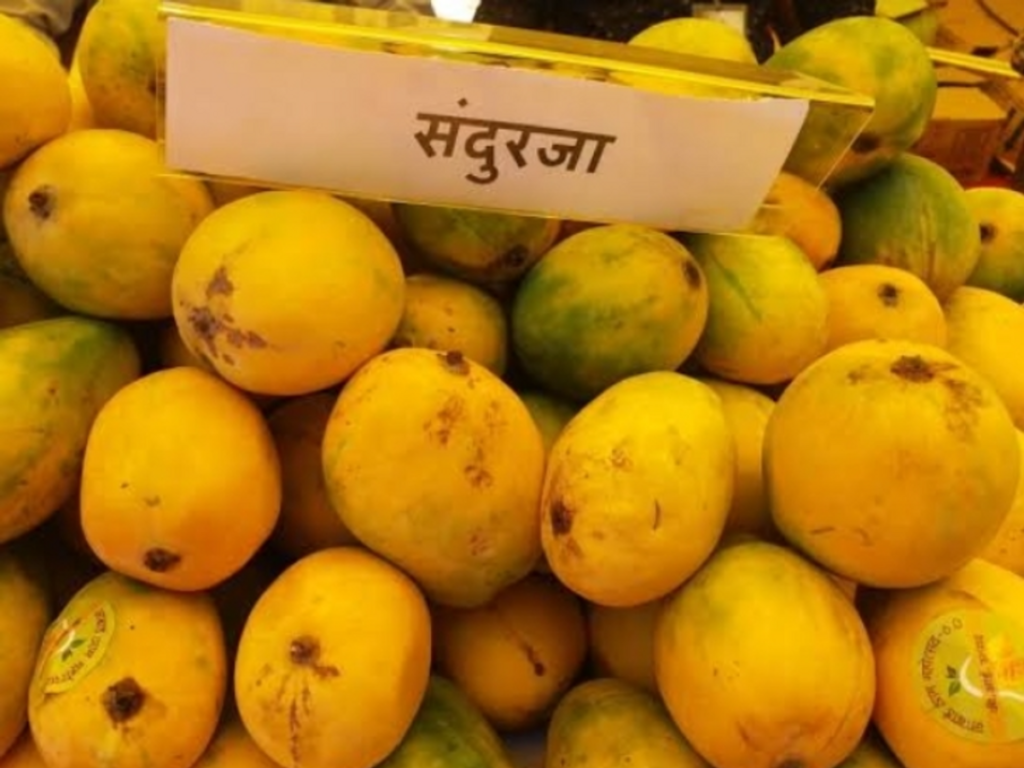 Rewa Sundarja Mango