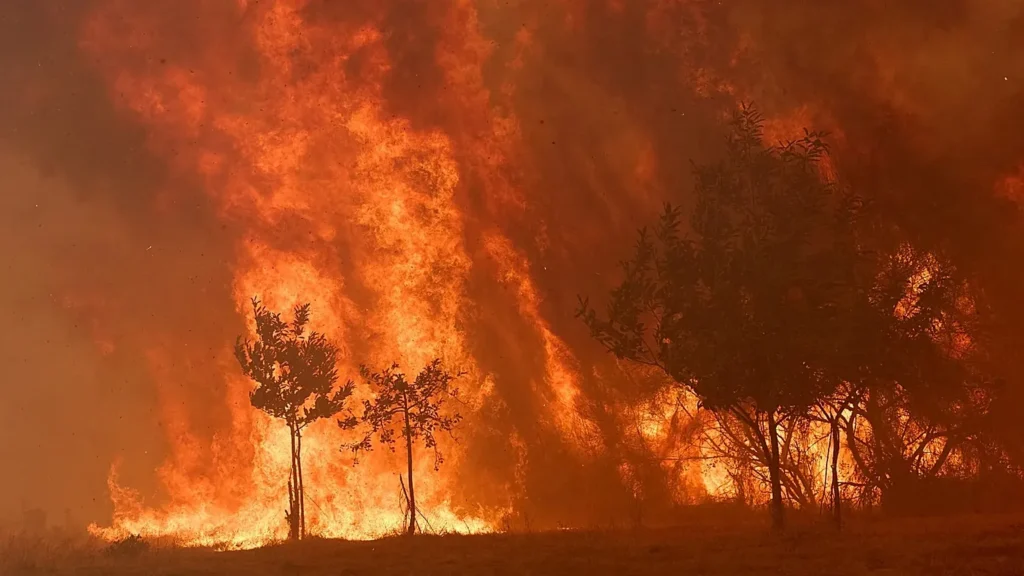 Spain Wildfire
